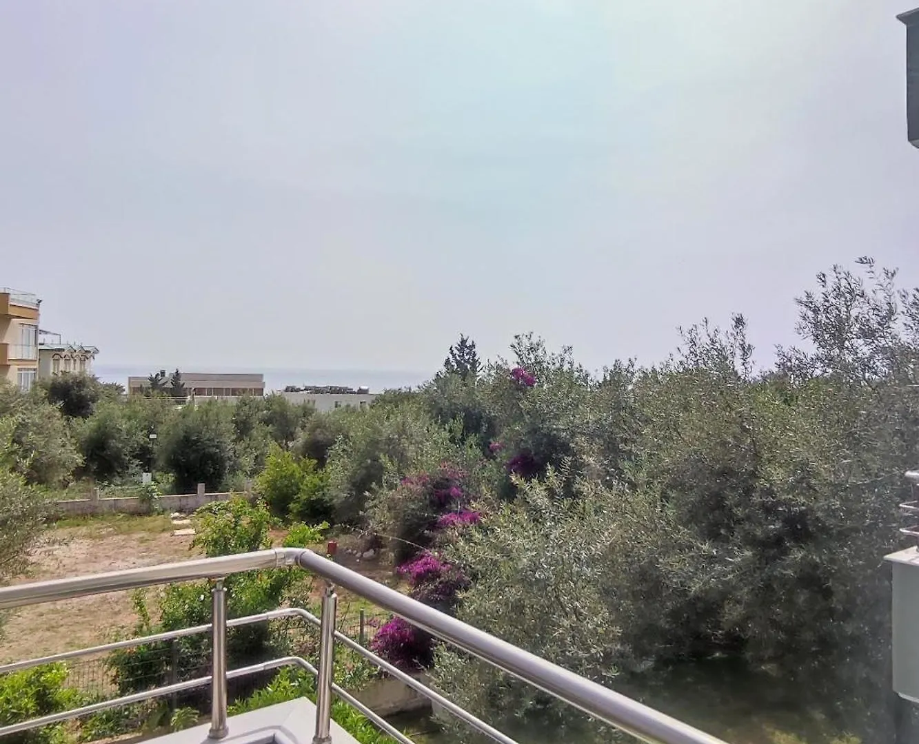 Hotel Olivio, דרמי אלבניה